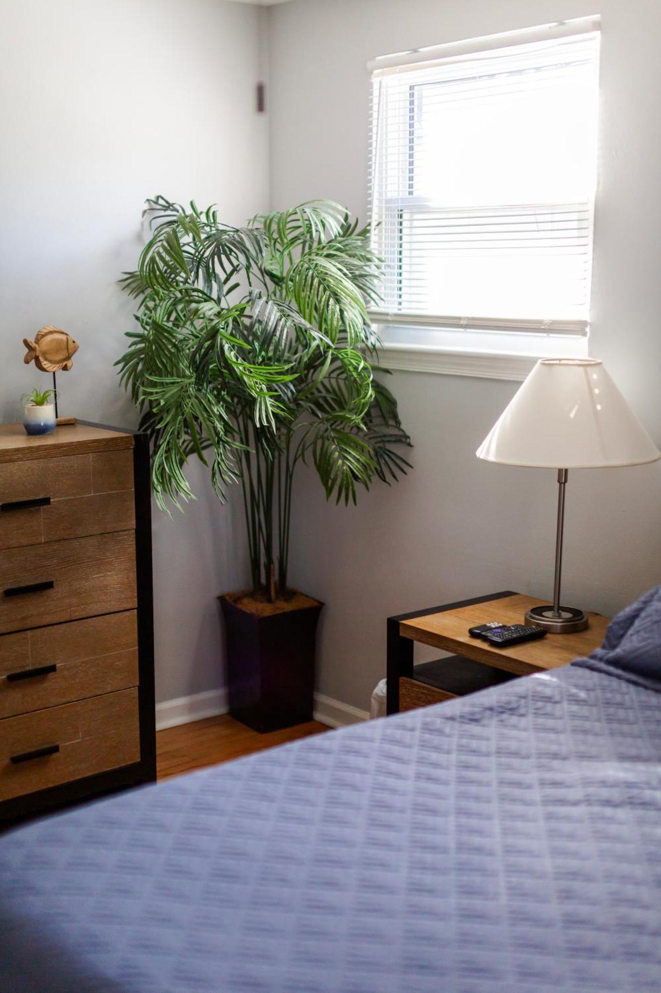 Fantastic 3Br Close To Botanical Gardens And Airport Норфолк Екстериор снимка
